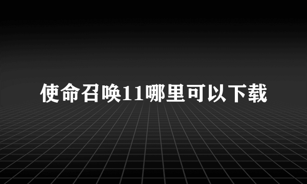 使命召唤11哪里可以下载