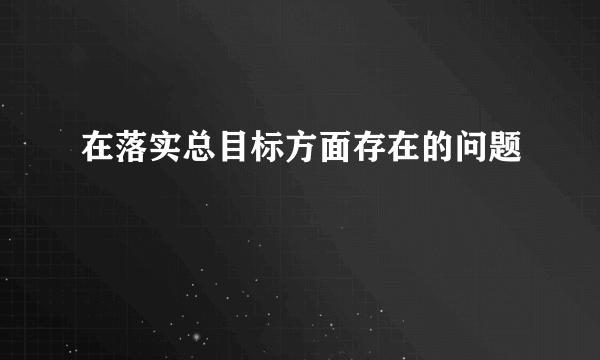 在落实总目标方面存在的问题