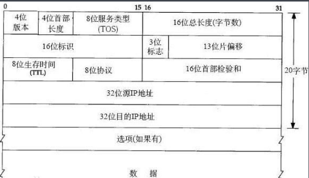 IP到底是什么意思啊?