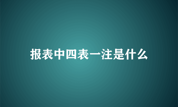 报表中四表一注是什么