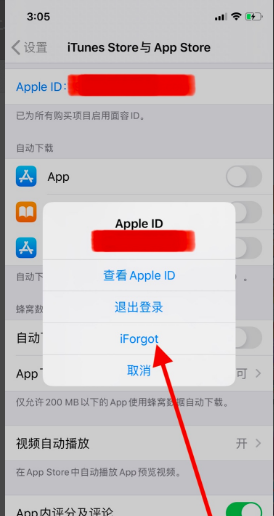 Apple ID的密码要怎么设置啊？求格式