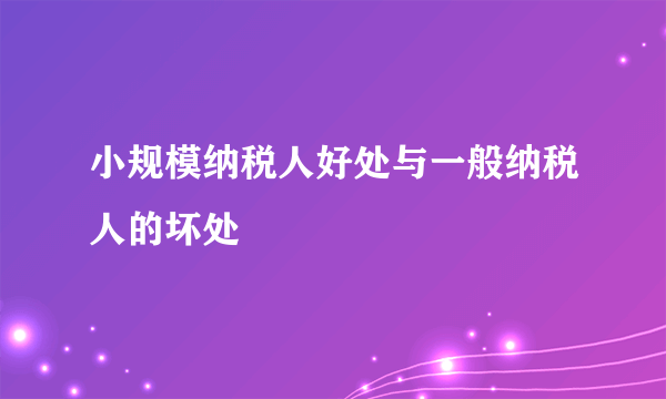 小规模纳税人好处与一般纳税人的坏处