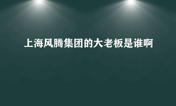 上海风腾集团的大老板是谁啊