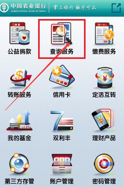 中国农业银行网上余额查询 要怎么查啊