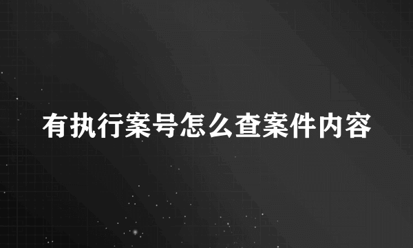 有执行案号怎么查案件内容