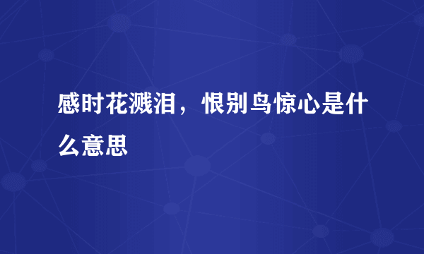 感时花溅泪，恨别鸟惊心是什么意思