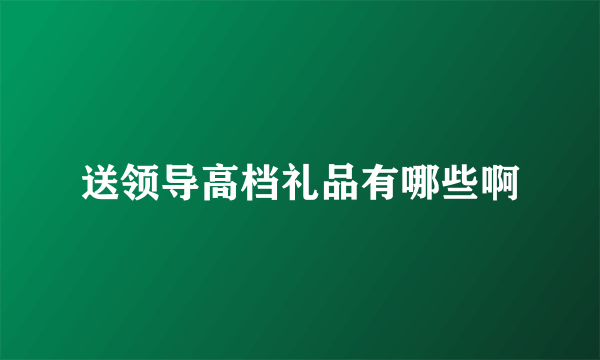 送领导高档礼品有哪些啊