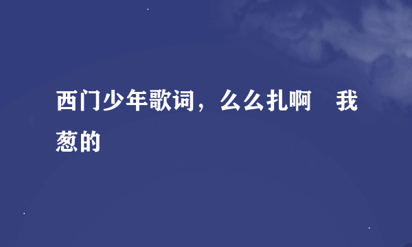 西门少年歌词，么么扎啊😄我葱的