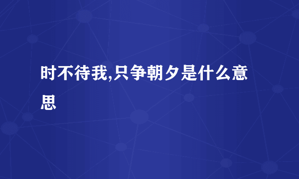 时不待我,只争朝夕是什么意思