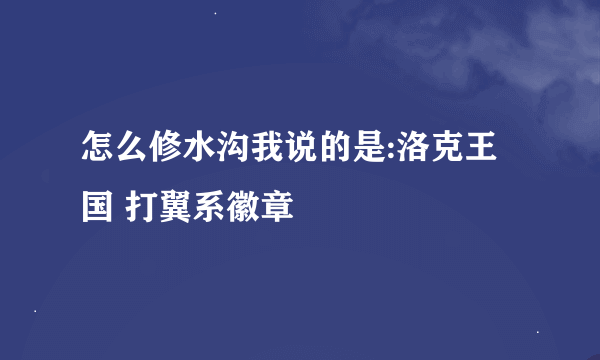 怎么修水沟我说的是:洛克王国 打翼系徽章