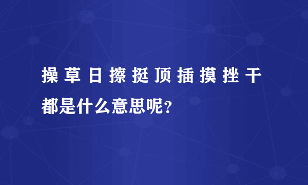 操 草 日 擦 挺 顶 插 摸 挫 干都是什么意思呢？