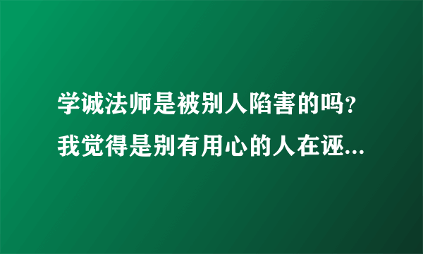 学诚法师是被别人陷害的吗？我觉得是别有用心的人在诬陷和打击佛教大德。会不会是学诚法师触犯了别人利益