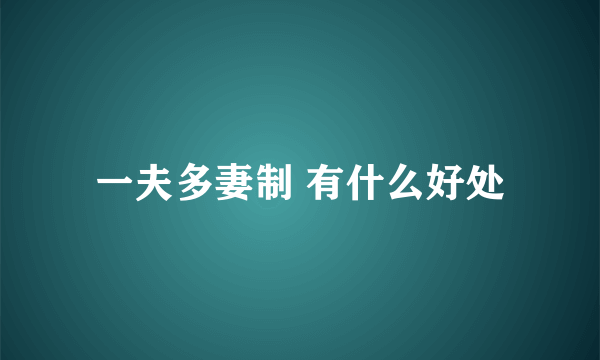 一夫多妻制 有什么好处