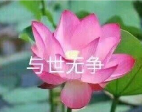 什么是与世无争？怎样才能与世无争？