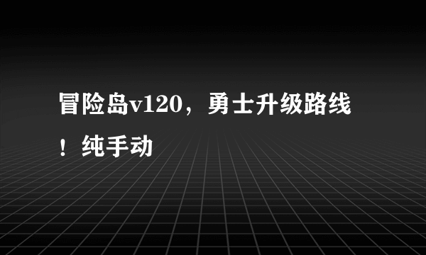 冒险岛v120，勇士升级路线！纯手动