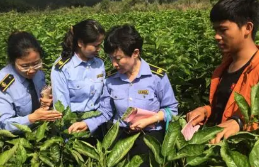 植物检疫的范围有哪些？