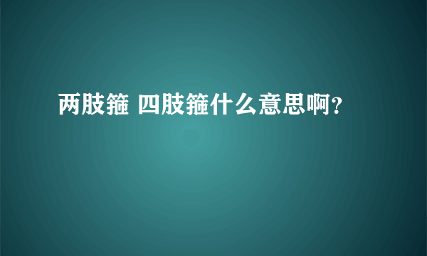 两肢箍 四肢箍什么意思啊？