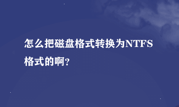 怎么把磁盘格式转换为NTFS格式的啊？