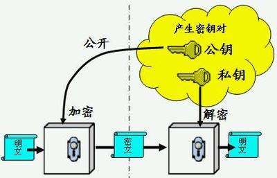 Rsa是什么意思