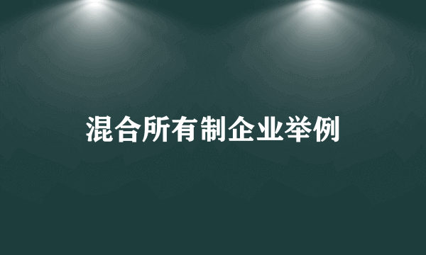 混合所有制企业举例