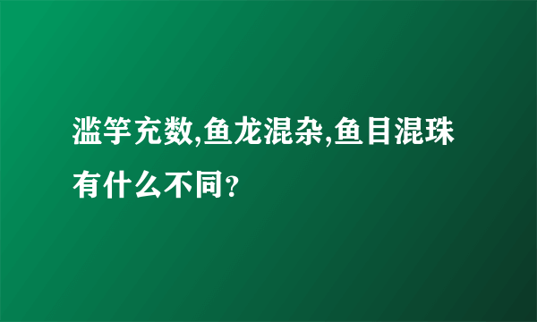 滥竽充数,鱼龙混杂,鱼目混珠有什么不同？