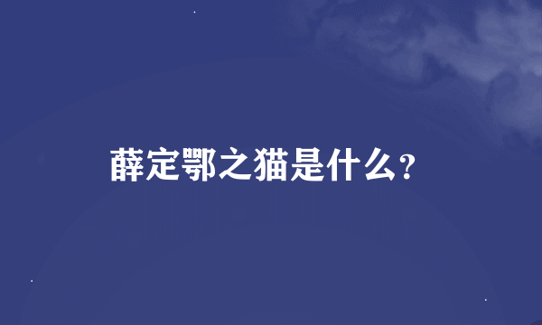 薛定鄂之猫是什么？