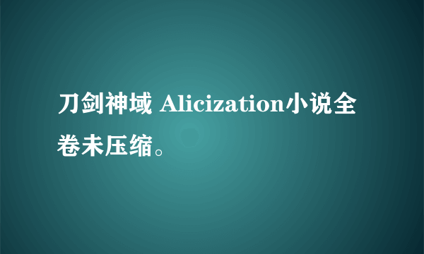 刀剑神域 Alicization小说全卷未压缩。