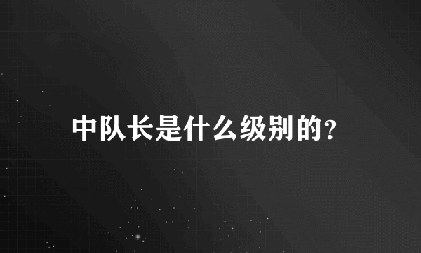 中队长是什么级别的？