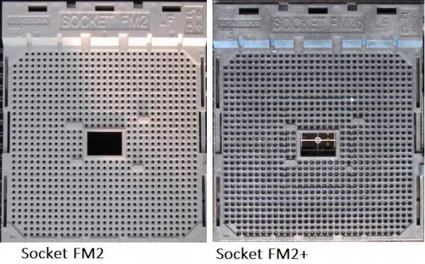 Socket FM2支持什么CPU