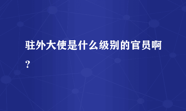 驻外大使是什么级别的官员啊？