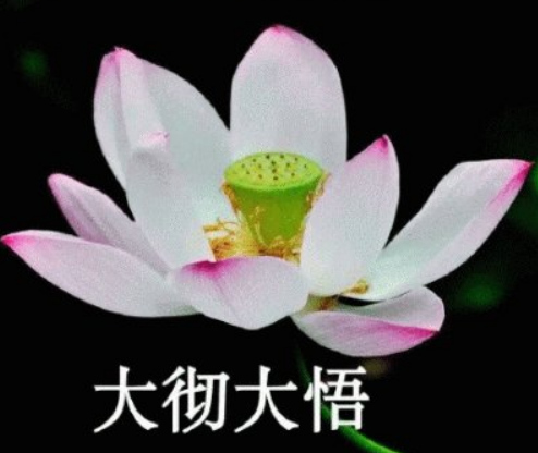 什么是与世无争？怎样才能与世无争？