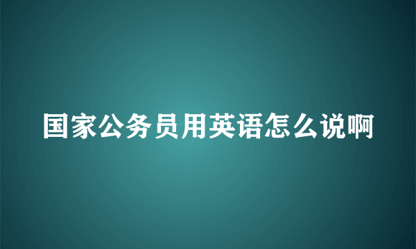 国家公务员用英语怎么说啊