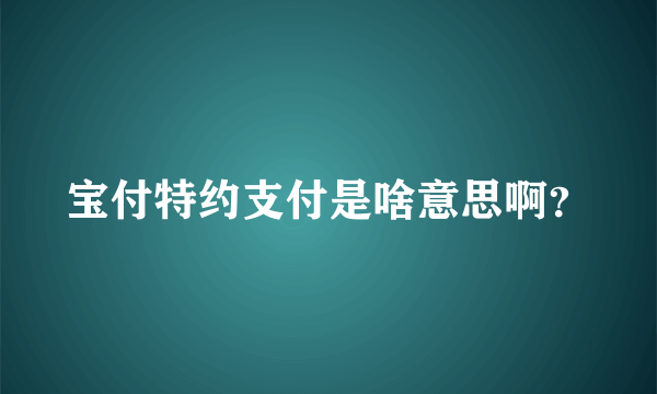 宝付特约支付是啥意思啊？