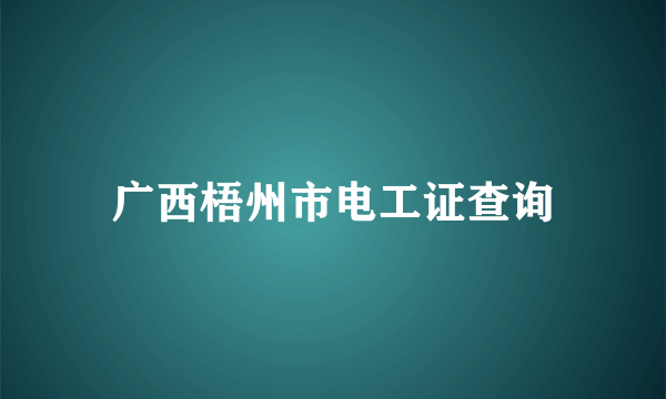 广西梧州市电工证查询