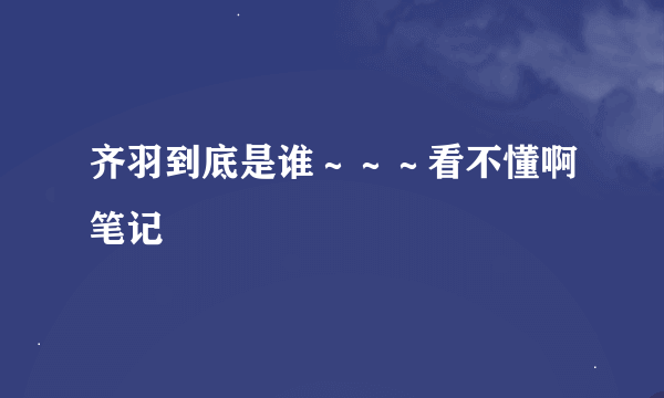 齐羽到底是谁～～～看不懂啊笔记