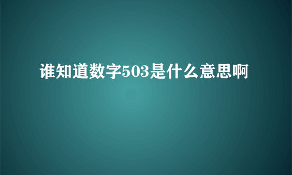 谁知道数字503是什么意思啊