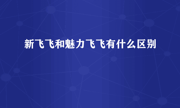 新飞飞和魅力飞飞有什么区别