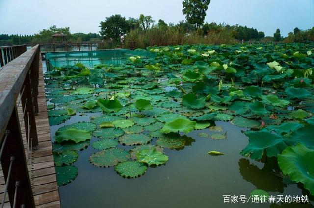 深圳好玩又免费的景点大全