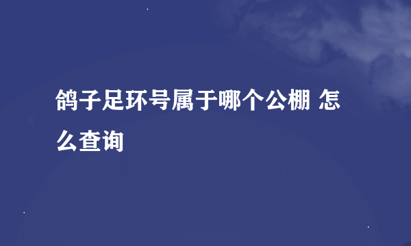 鸽子足环号属于哪个公棚 怎么查询