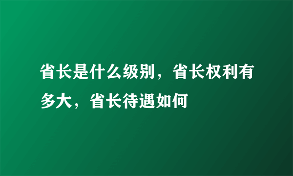 省长是什么级别，省长权利有多大，省长待遇如何