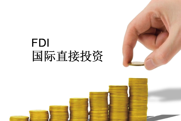 FDI是什么意思