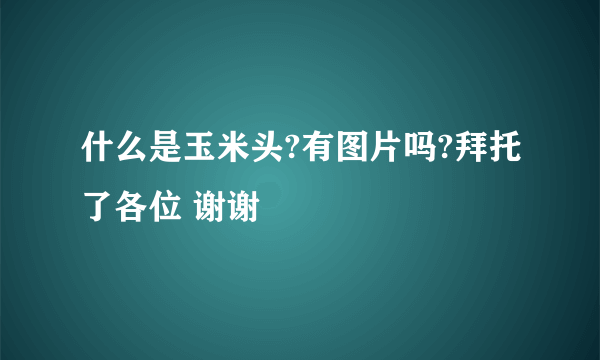 什么是玉米头?有图片吗?拜托了各位 谢谢