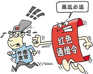 红通人员是指什么？