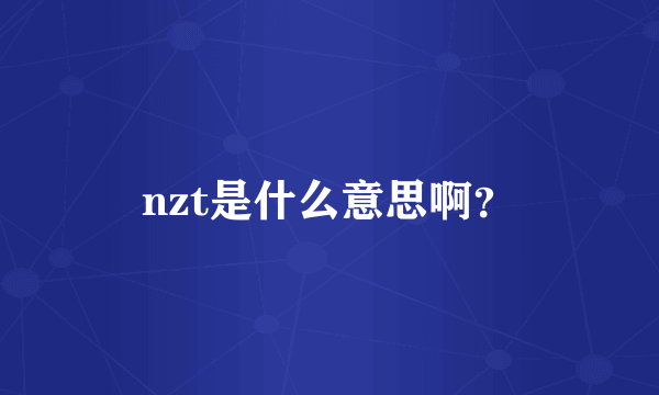 nzt是什么意思啊？