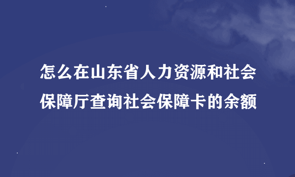 怎么在山东省人力资源和社会保障厅查询社会保障卡的余额