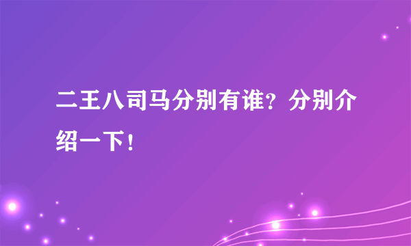 二王八司马分别有谁？分别介绍一下！