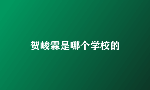 贺峻霖是哪个学校的