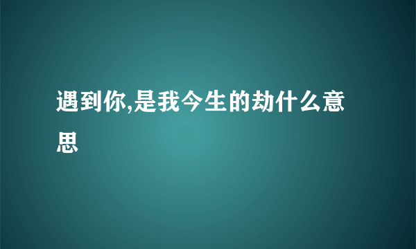 遇到你,是我今生的劫什么意思