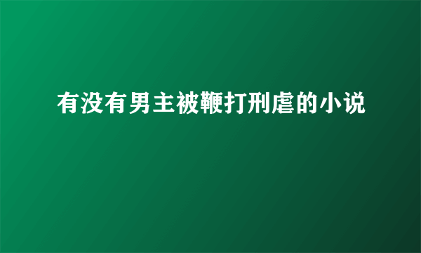 有没有男主被鞭打刑虐的小说