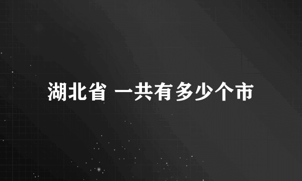 湖北省 一共有多少个市